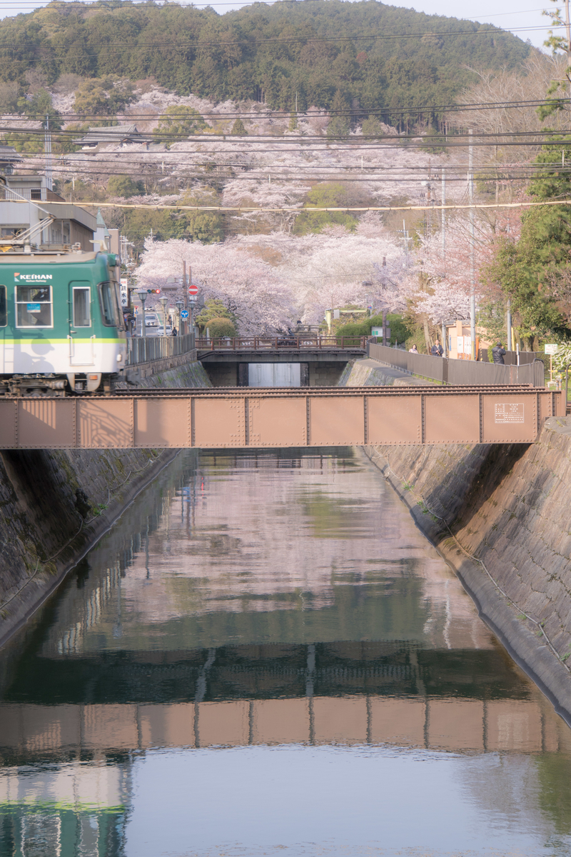 f:id:n_m_res:20190424134931j:plain