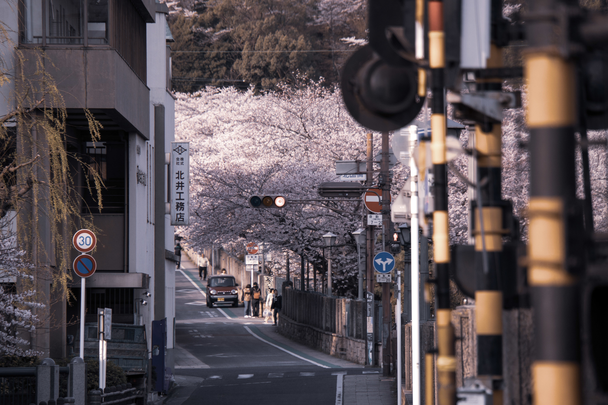 f:id:n_m_res:20190424134936j:plain