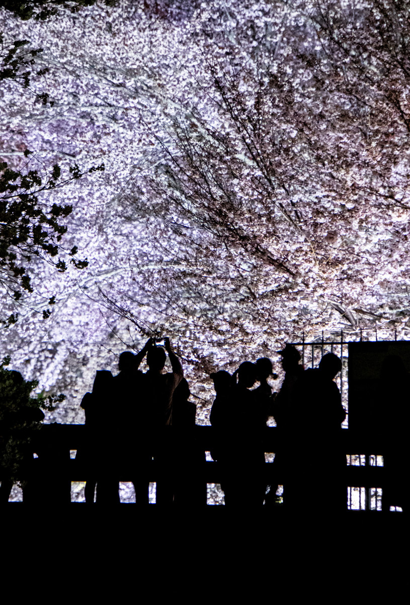f:id:n_m_res:20190426114906j:plain