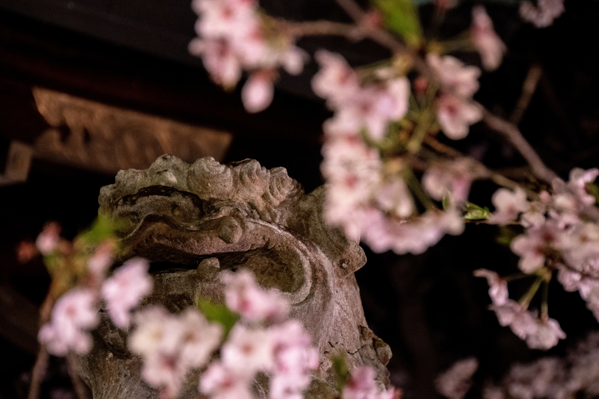f:id:n_m_res:20190430144518j:plain