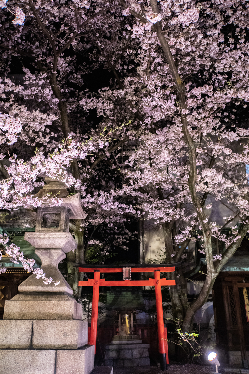f:id:n_m_res:20190430144526j:plain
