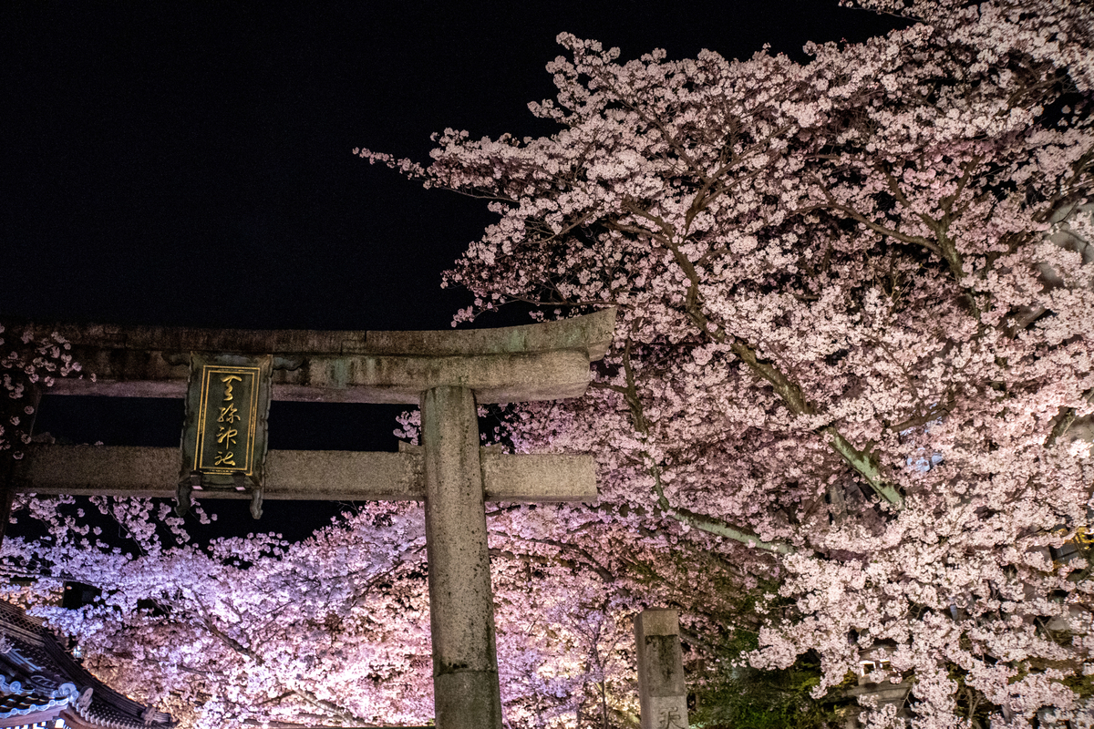 f:id:n_m_res:20190430145025j:plain