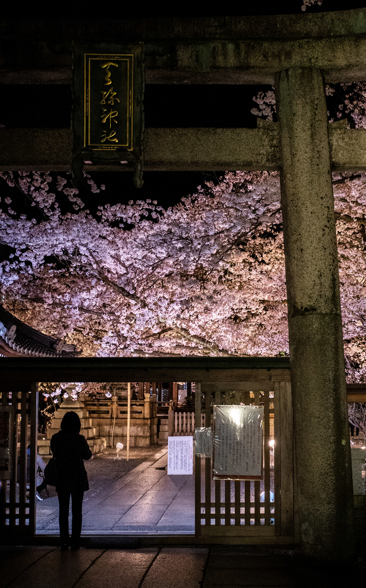 f:id:n_m_res:20190430145028j:plain