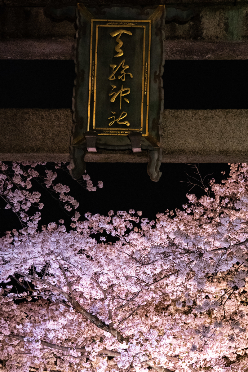f:id:n_m_res:20190430145140j:plain
