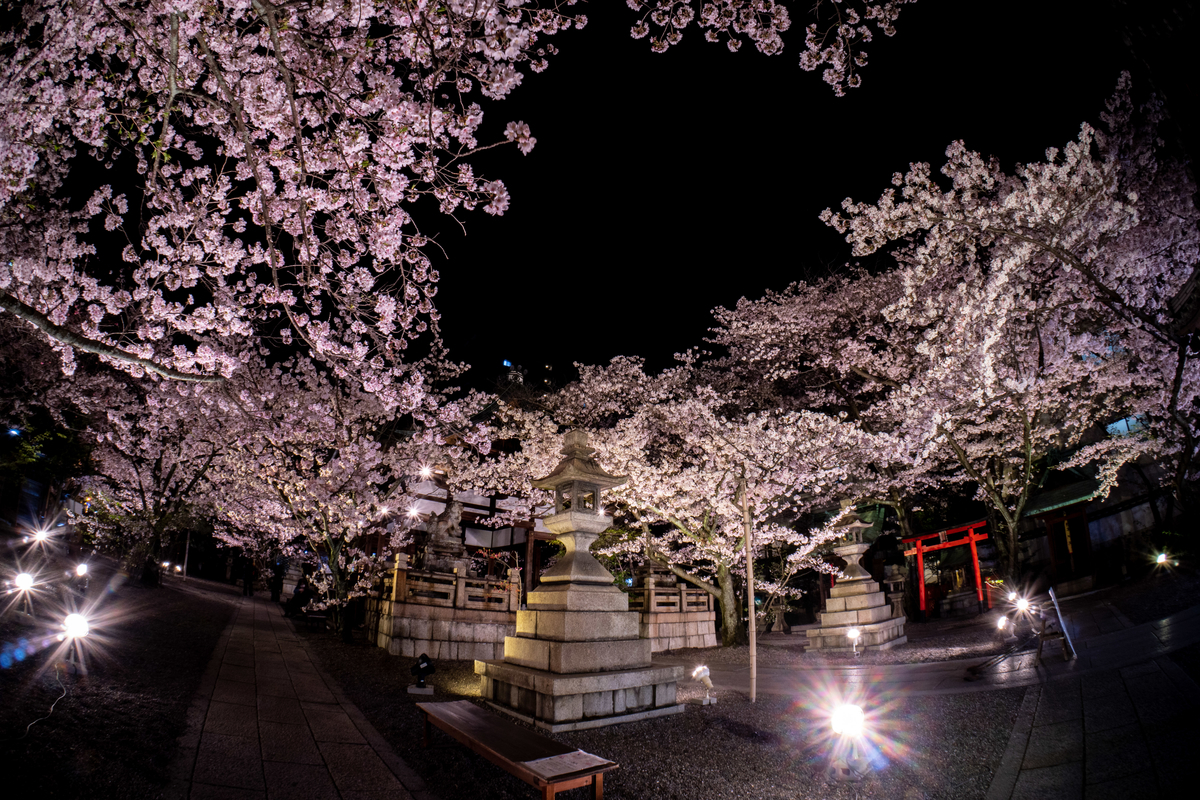 f:id:n_m_res:20190430145147j:plain