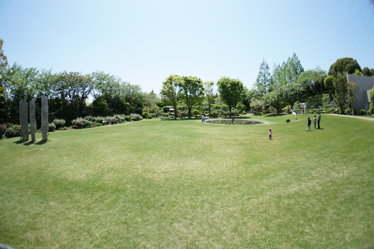 f:id:n_m_res:20190512155934j:plain