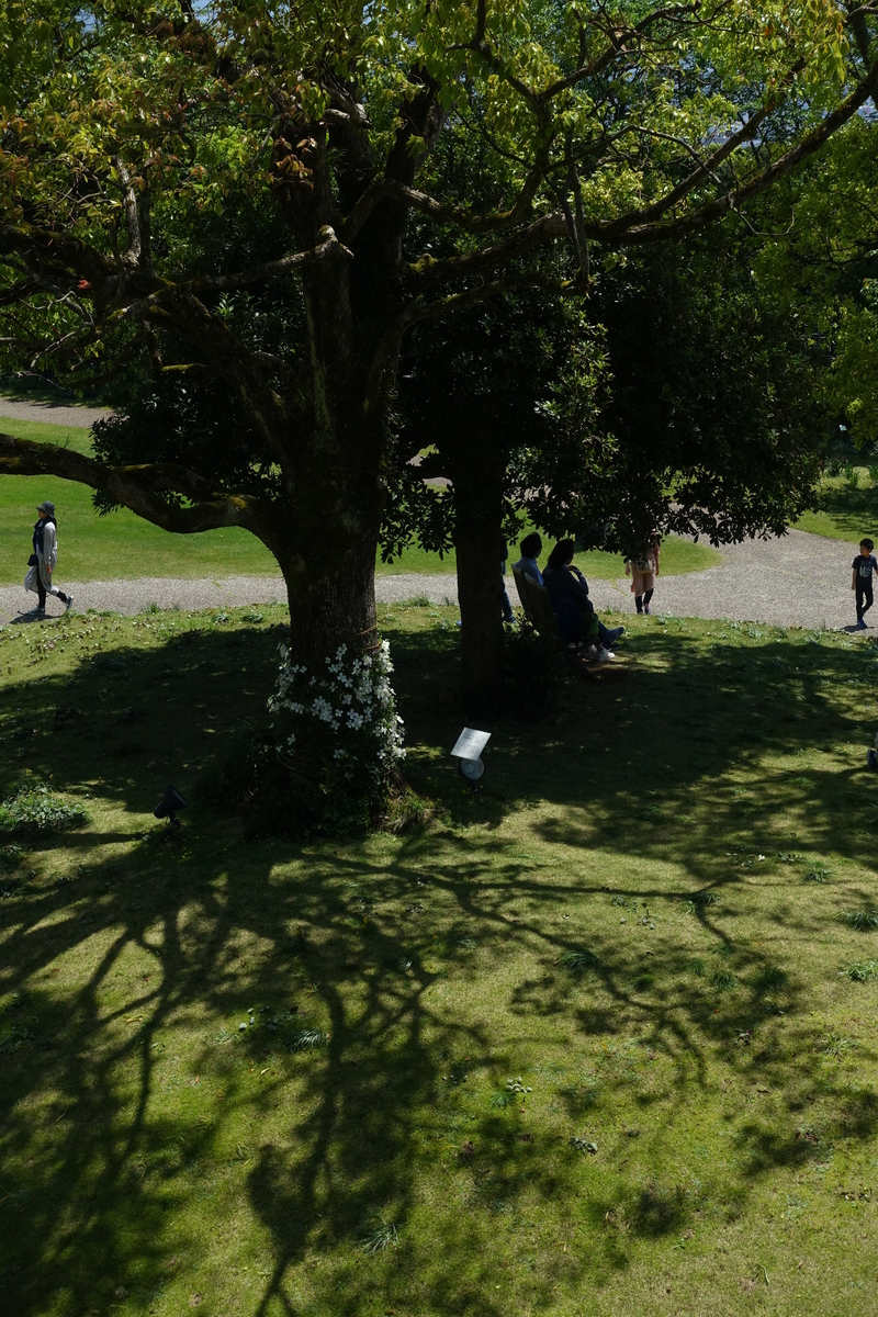 f:id:n_m_res:20190514154542j:plain