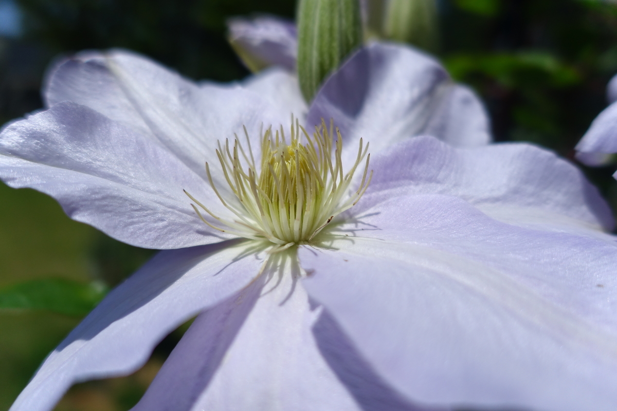 f:id:n_m_res:20190514155451j:plain