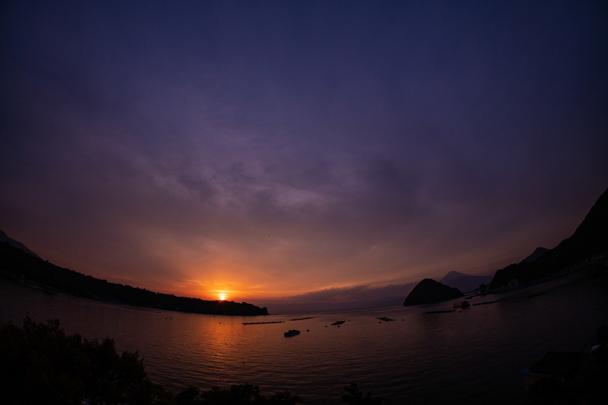 f:id:n_m_res:20190608103755j:plain