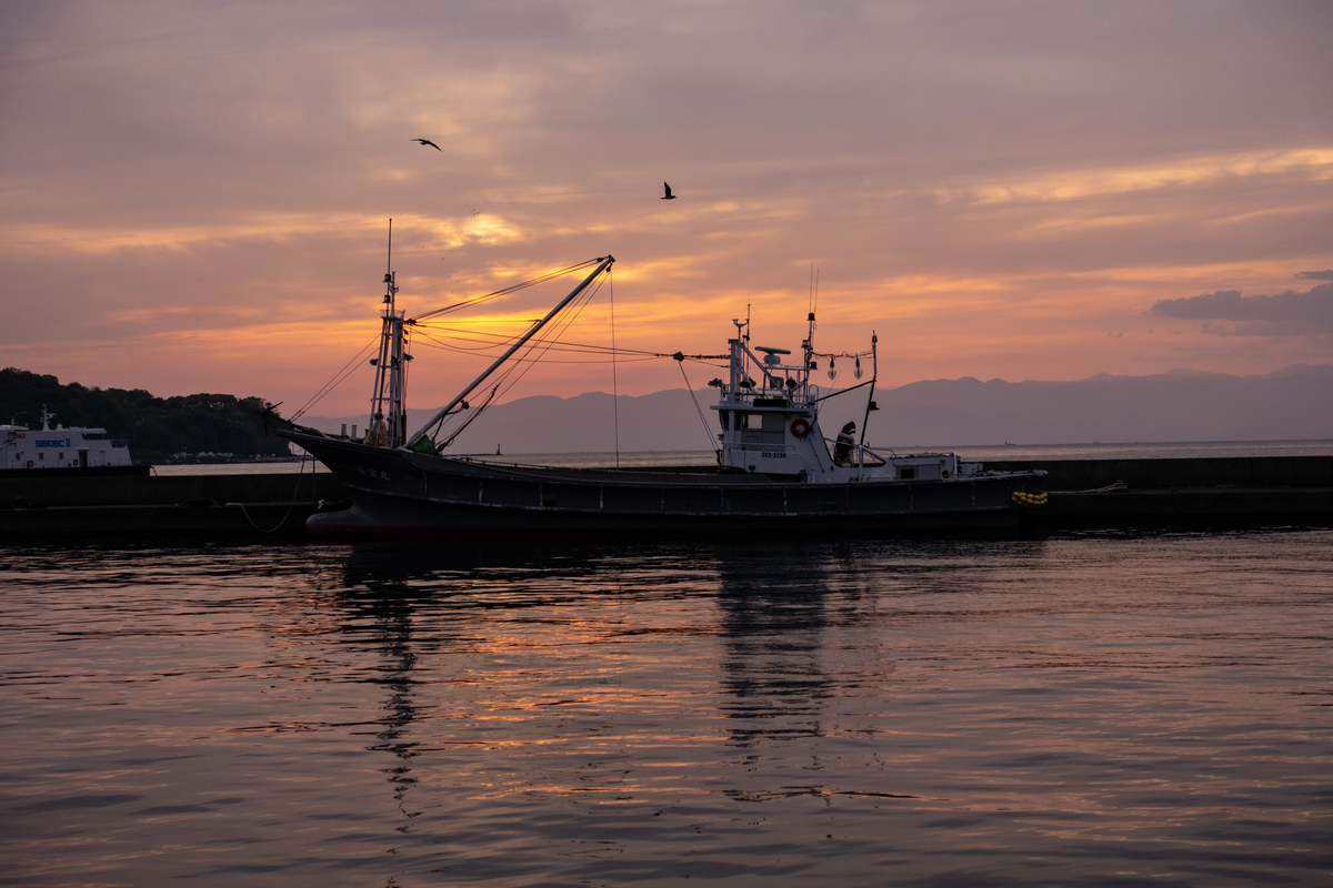 f:id:n_m_res:20190608104348j:plain