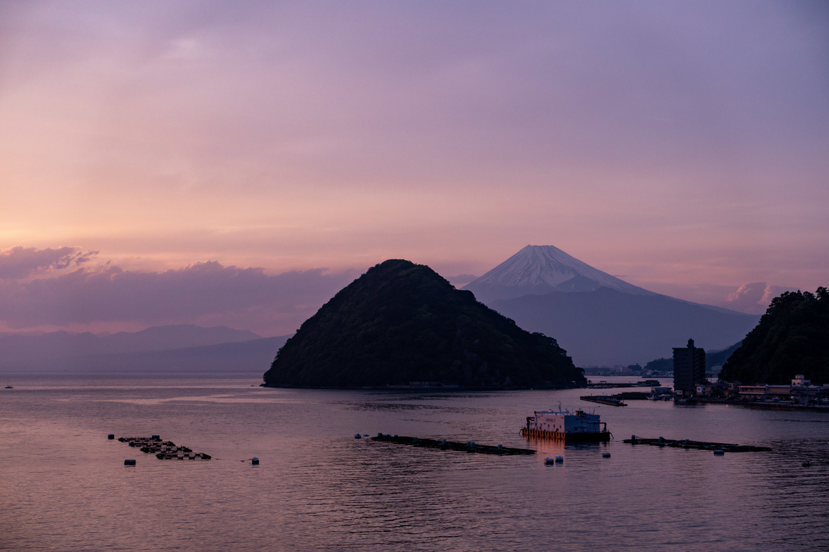 f:id:n_m_res:20190608104431j:plain