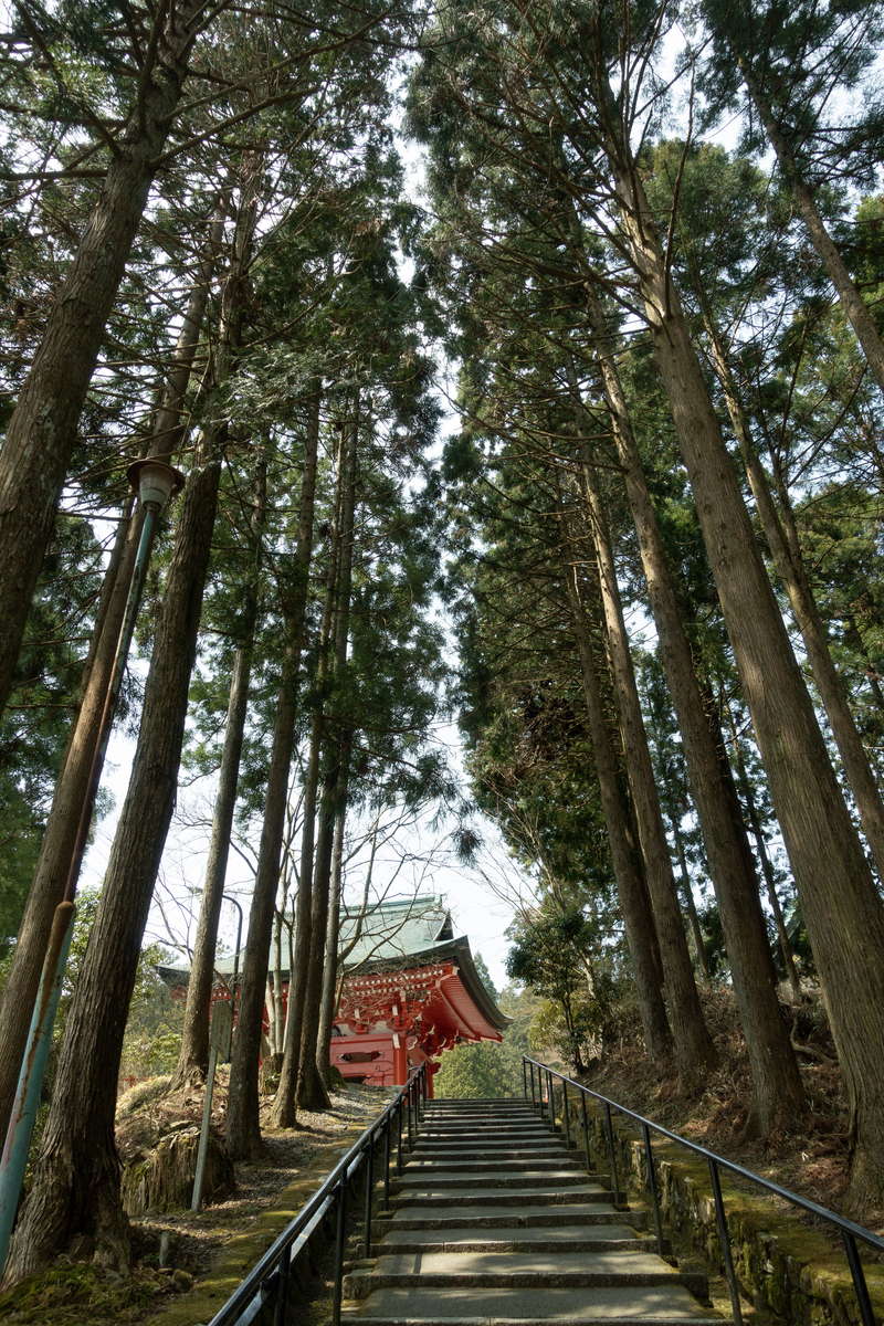 f:id:n_m_res:20190612160320j:plain