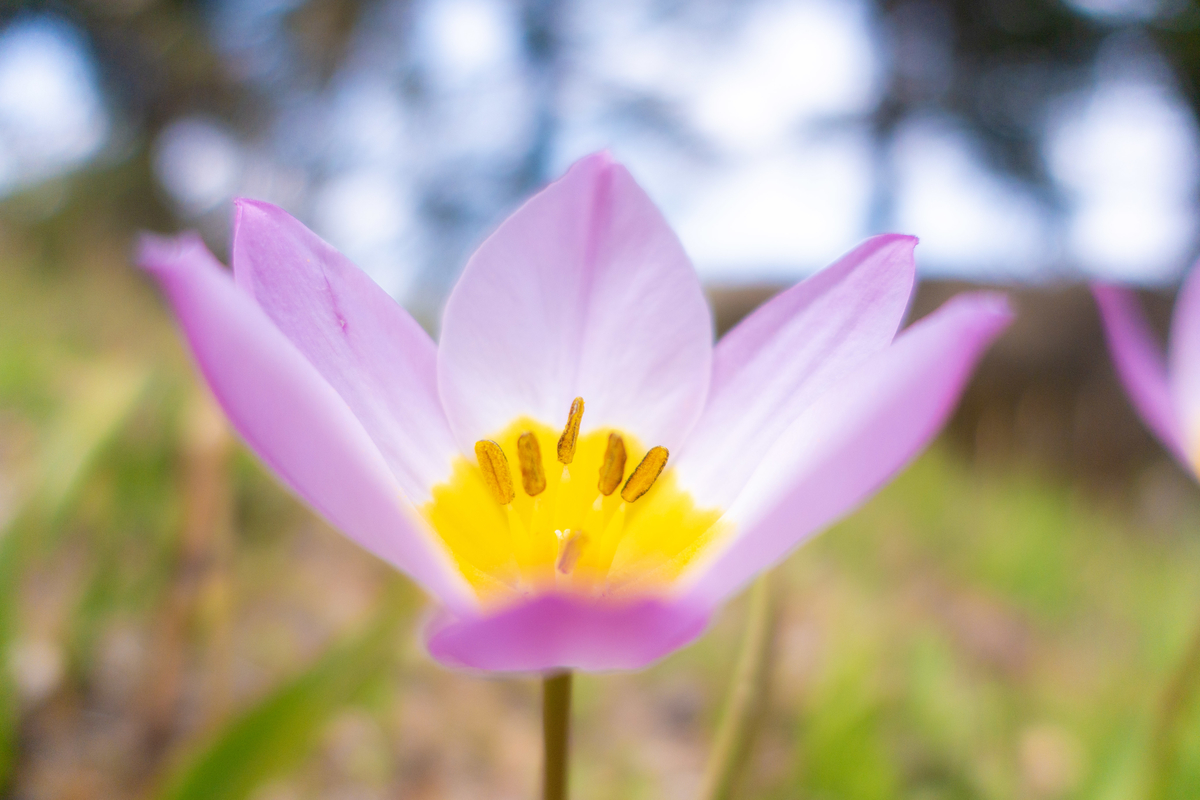 f:id:n_m_res:20190612160632j:plain