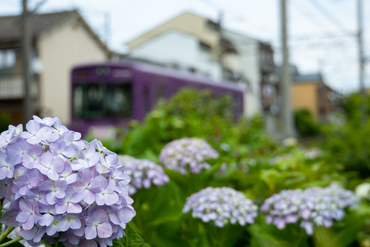 f:id:n_m_res:20190620153439j:plain f:id:n_m_res:20190620153439j:plain