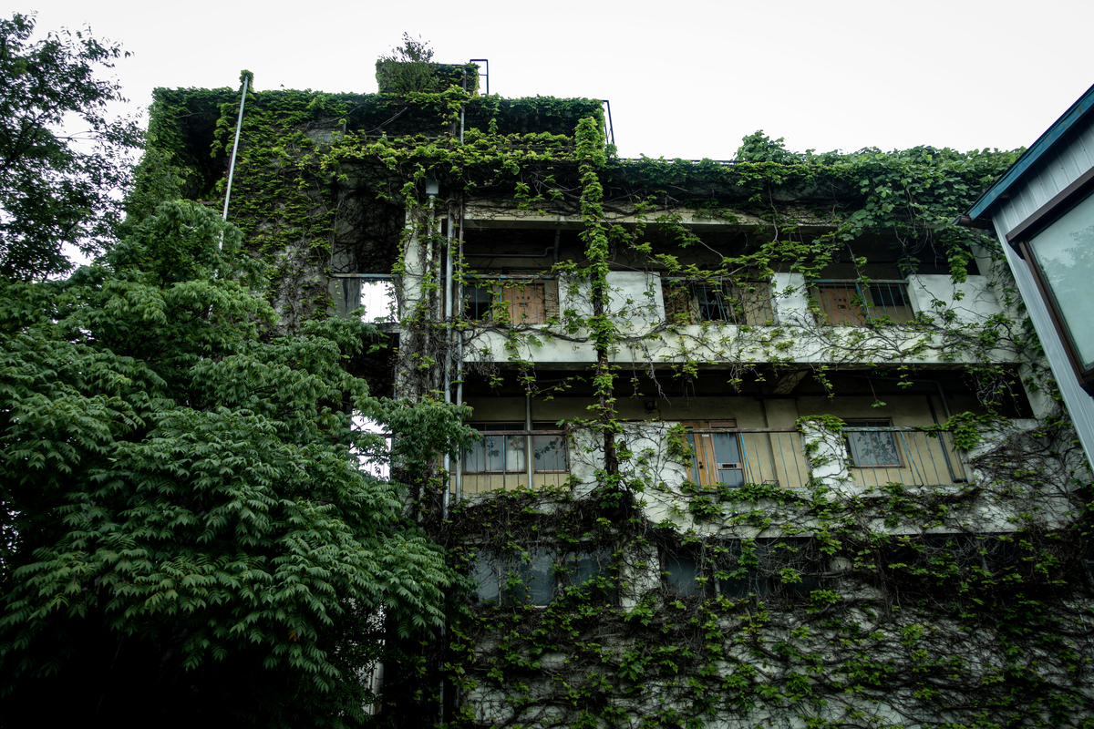 f:id:n_m_res:20190706145927j:plain f:id:n_m_res:20190706145927j:plain