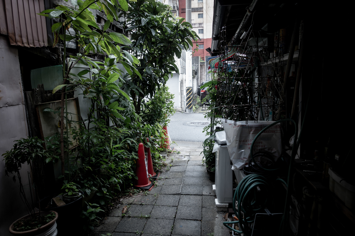 f:id:n_m_res:20190706150433j:plain f:id:n_m_res:20190706150433j:plain