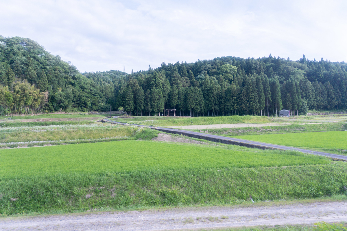 f:id:n_m_res:20190713112415j:plain f:id:n_m_res:20190713112415j:plain