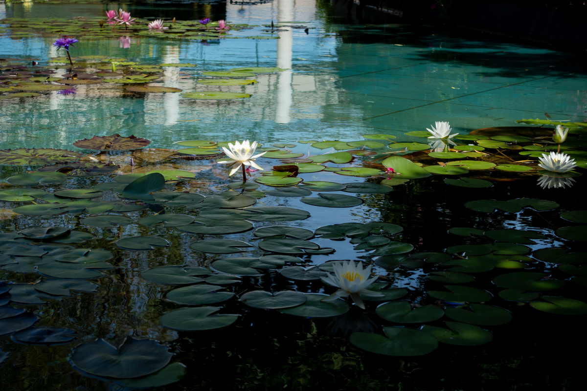 f:id:n_m_res:20190921101524j:plain f:id:n_m_res:20190921101524j:plain