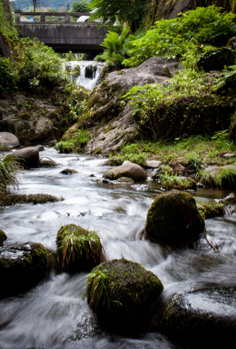 f:id:n_m_res:20191005110201j:plain