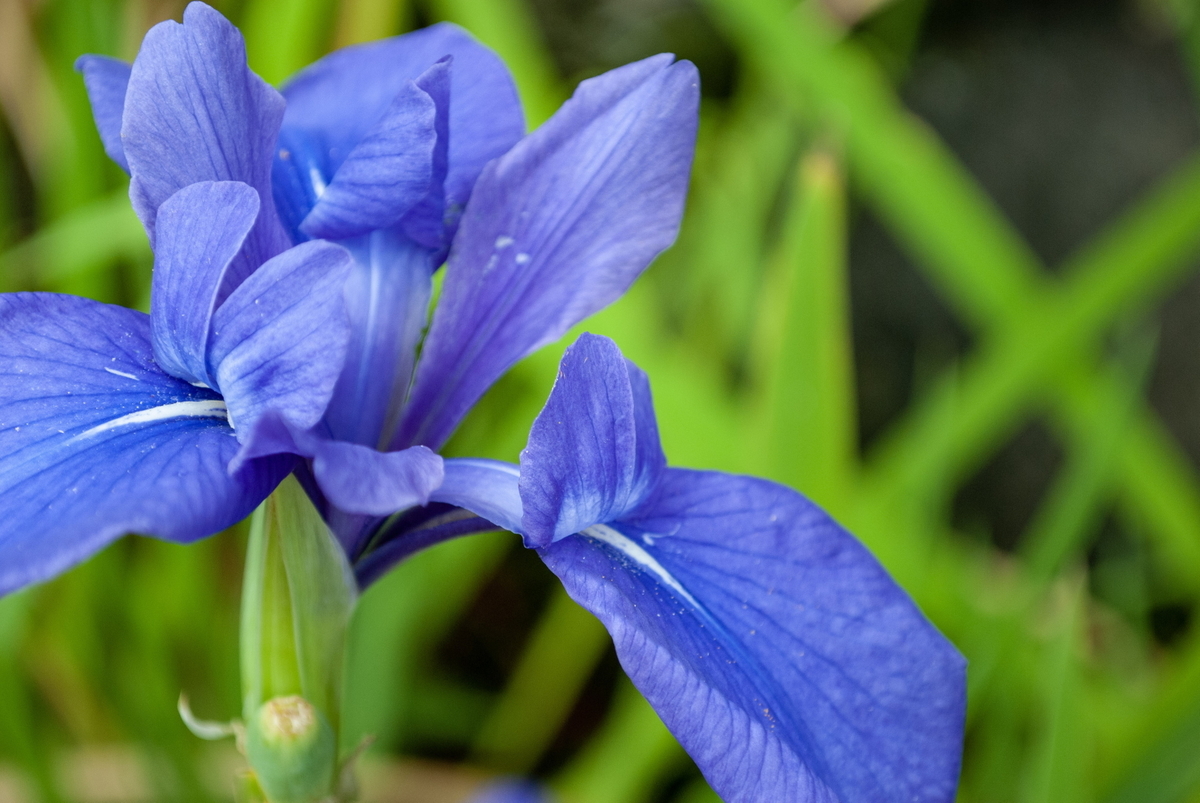 f:id:n_m_res:20191005110540j:plain