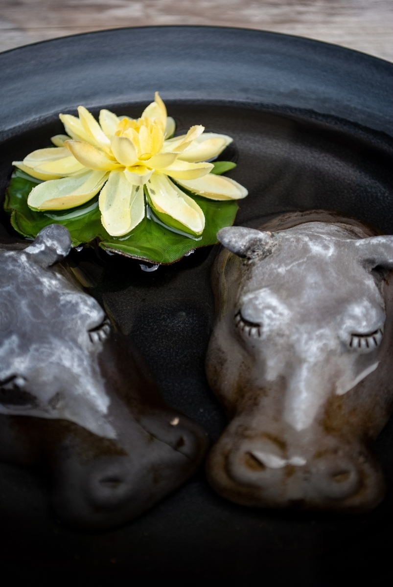 f:id:n_m_res:20191005110542j:plain