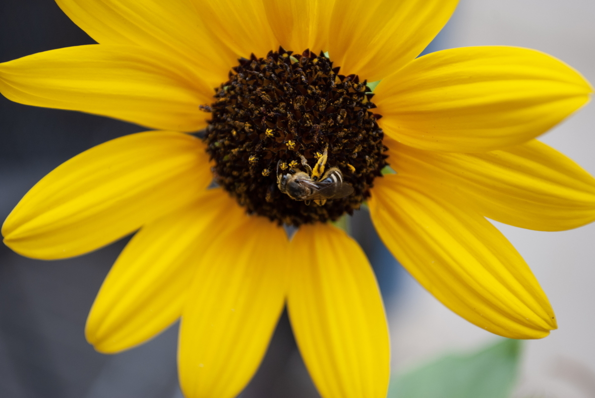 f:id:n_m_res:20191005110545j:plain