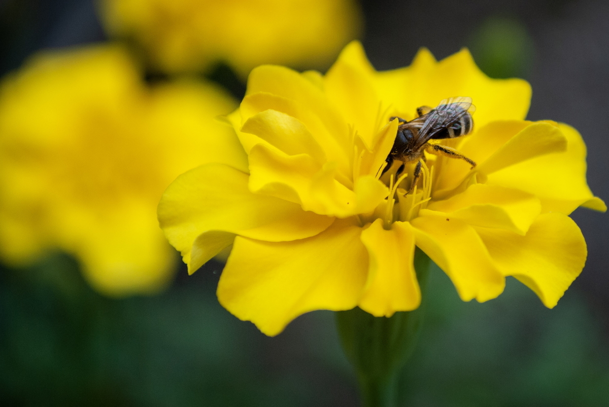 f:id:n_m_res:20191005110550j:plain