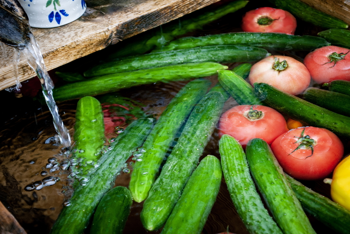 f:id:n_m_res:20191005110633j:plain