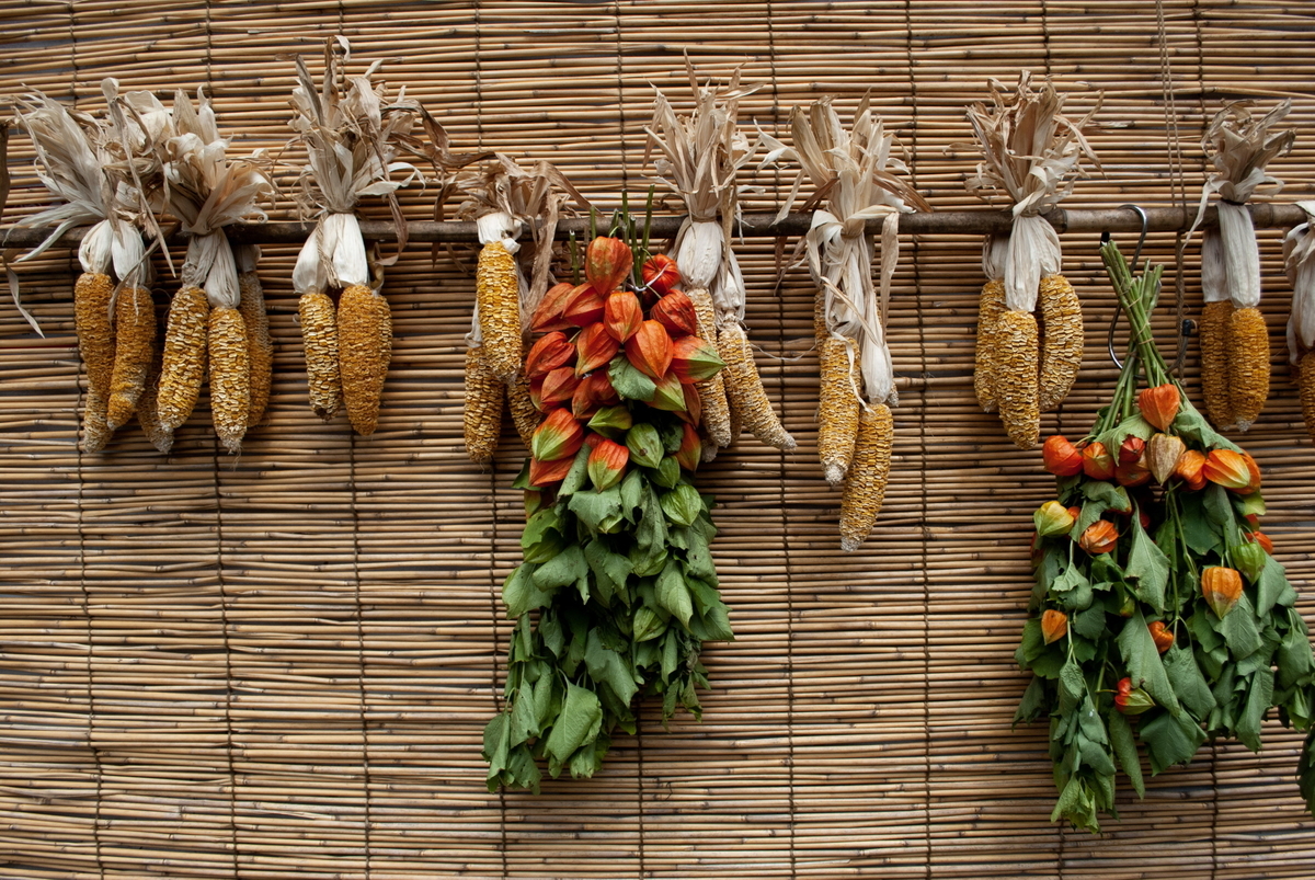 f:id:n_m_res:20191005111331j:plain