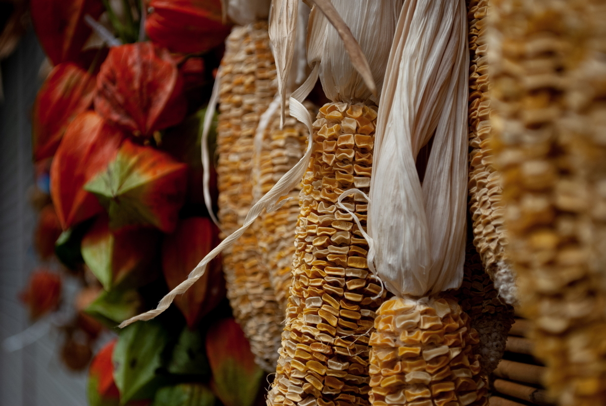 f:id:n_m_res:20191005111352j:plain