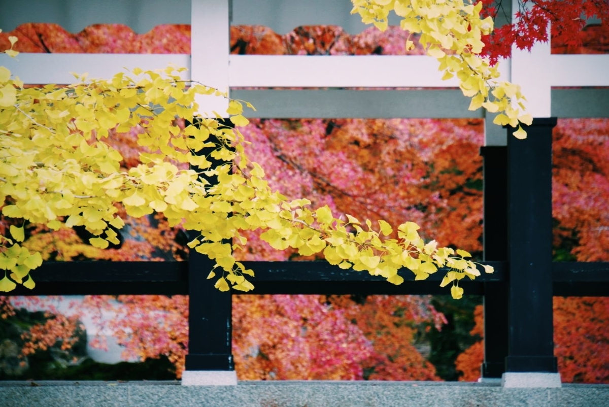 f:id:n_m_res:20191126143149j:plain
