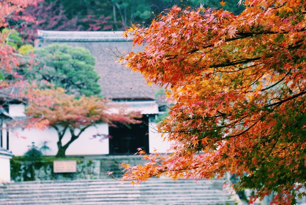 f:id:n_m_res:20191126143153j:plain