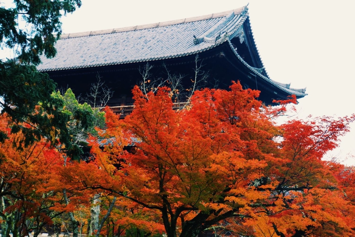 f:id:n_m_res:20191126143154j:plain