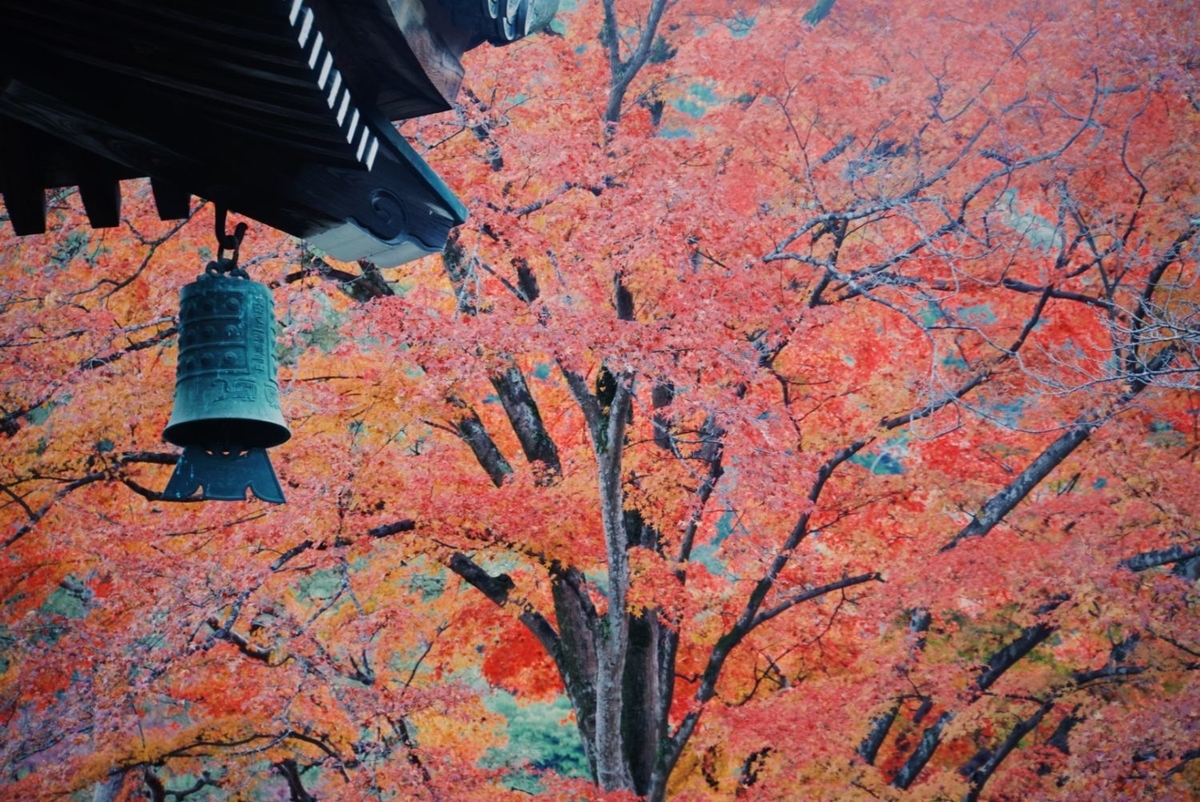 f:id:n_m_res:20191126143437j:plain