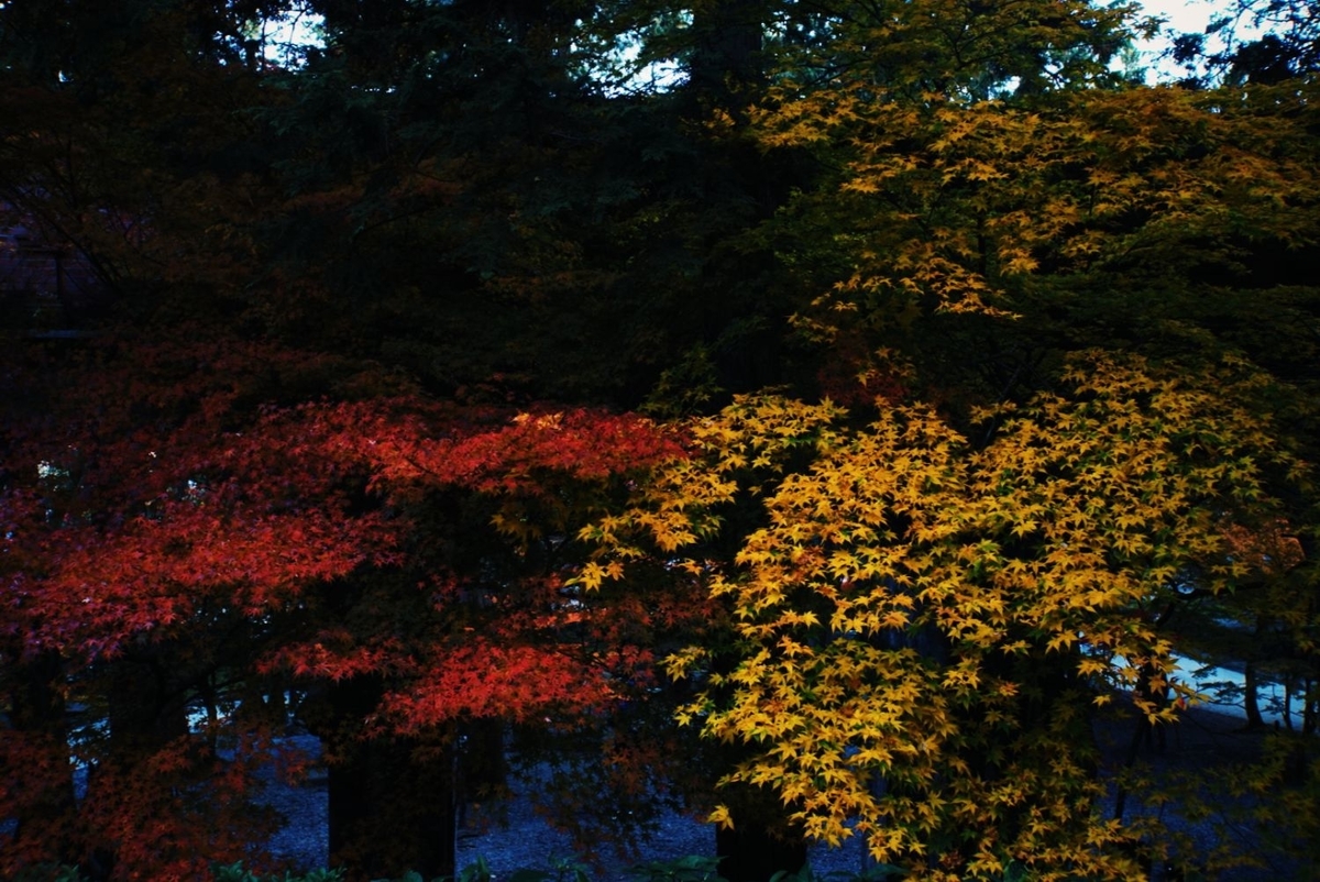 f:id:n_m_res:20191126143441j:plain