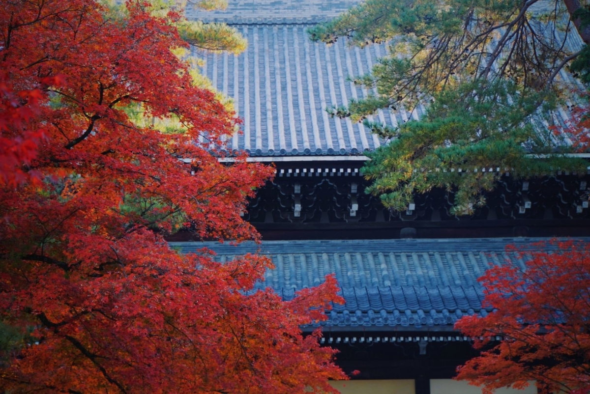 f:id:n_m_res:20191126144701j:plain