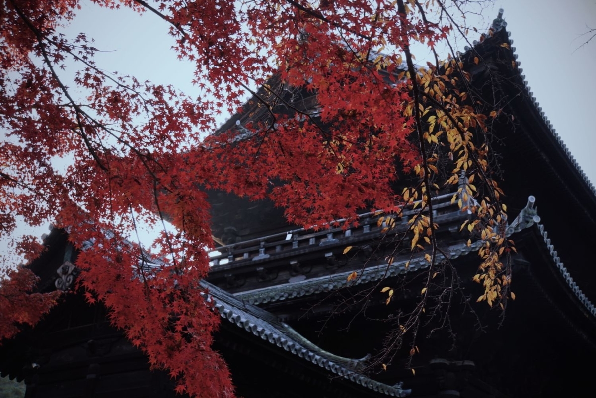 f:id:n_m_res:20191126150507j:plain