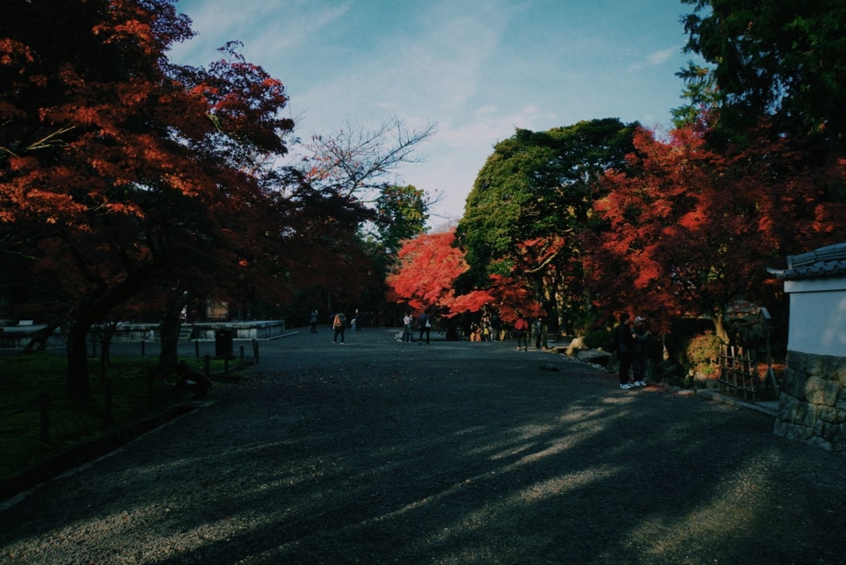 f:id:n_m_res:20191126150513j:plain