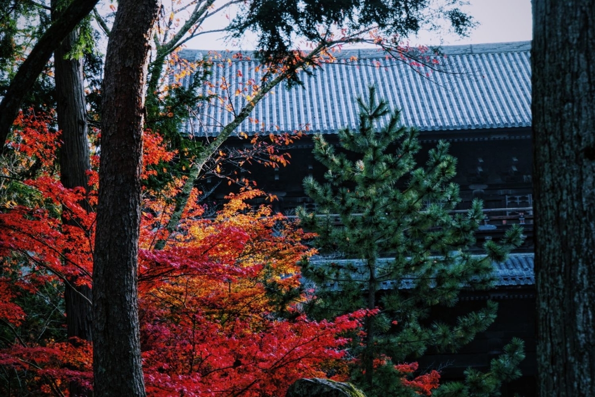 f:id:n_m_res:20191126150525j:plain