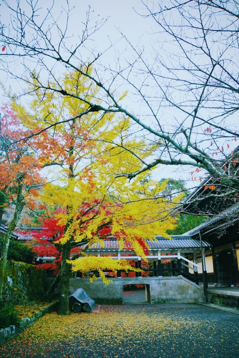 f:id:n_m_res:20191126151829j:plain