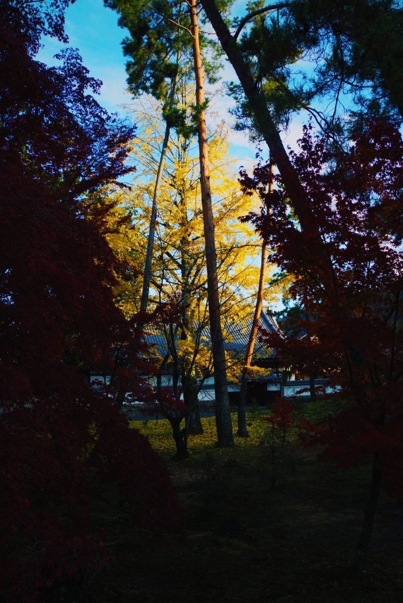 f:id:n_m_res:20191126151934j:plain