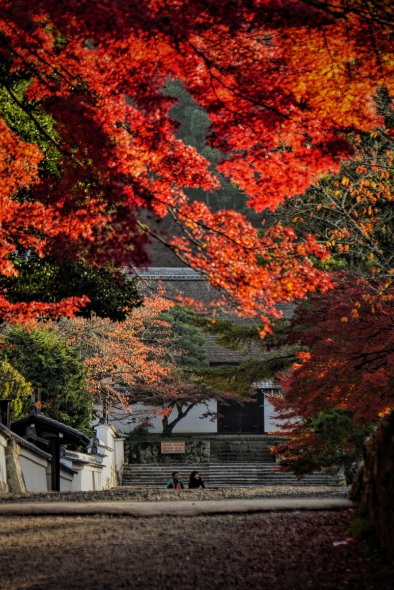 f:id:n_m_res:20191126151952j:plain