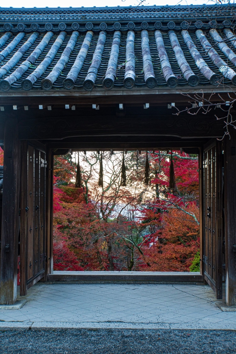 f:id:n_m_res:20191205153531j:plain