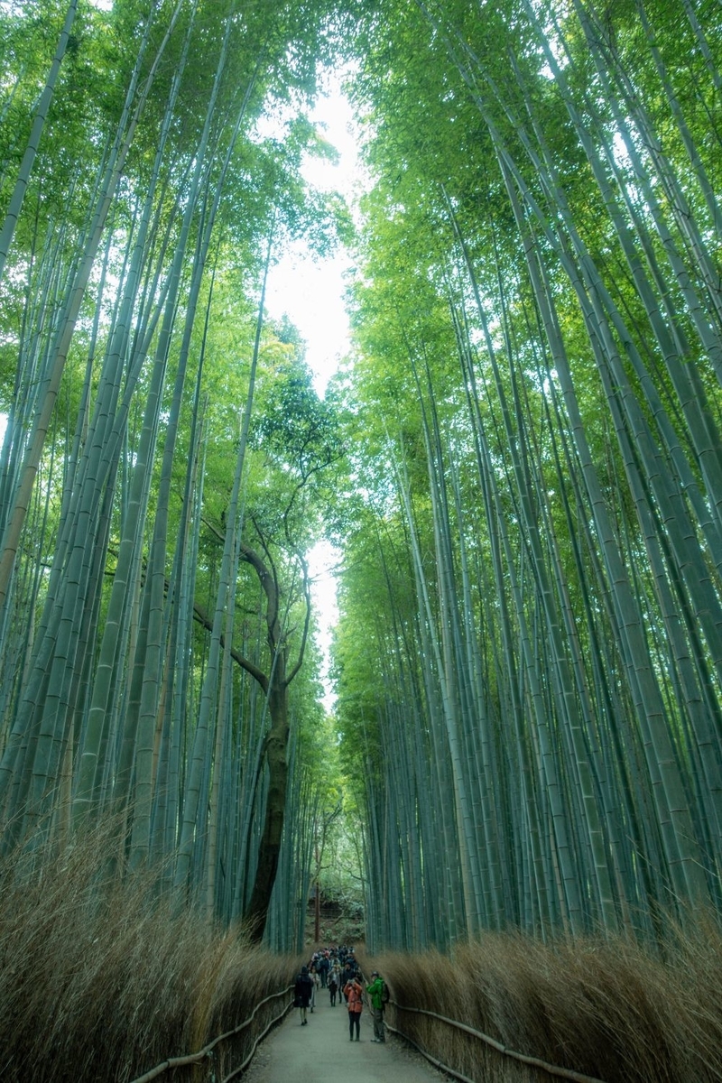 f:id:n_m_res:20200225110705j:plain f:id:n_m_res:20200225110705j:plain