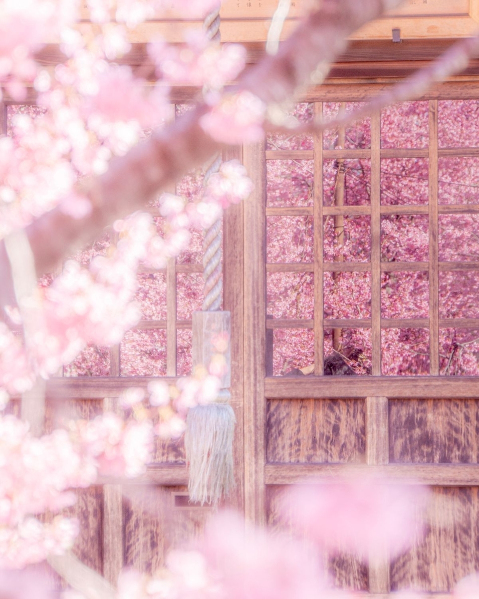 f:id:n_m_res:20200311133813j:plain f:id:n_m_res:20200311133813j:plain