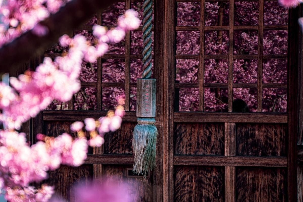 f:id:n_m_res:20200311133816j:plain f:id:n_m_res:20200311133816j:plain