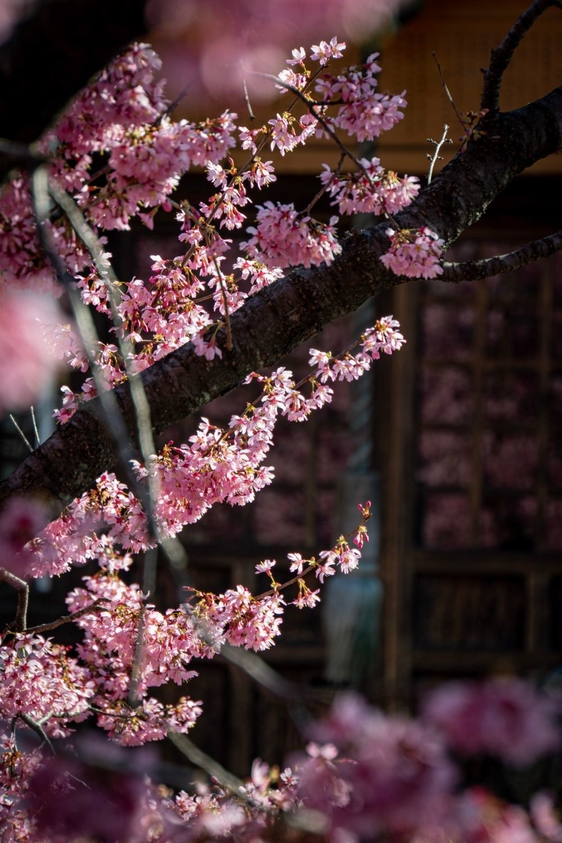 f:id:n_m_res:20200311133820j:plain f:id:n_m_res:20200311133820j:plain