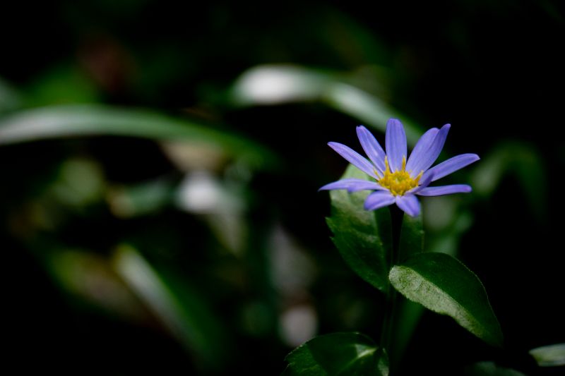 f:id:n_m_res:20200708140012j:plain f:id:n_m_res:20200708140012j:plain