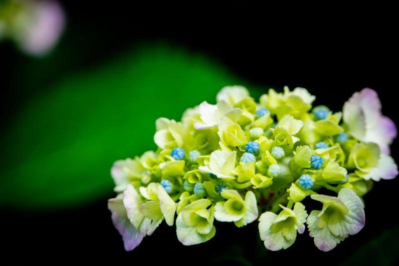 f:id:n_m_res:20200708140029j:plain f:id:n_m_res:20200708140029j:plain