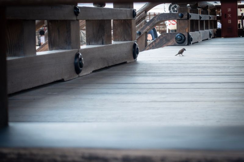 f:id:n_m_res:20200805134443j:plain f:id:n_m_res:20200805134443j:plain